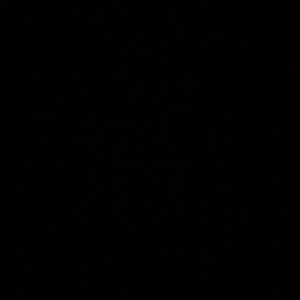 Meet your Posher, Glaydiaa